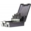 Set of burrs 10 pcs (B10,C10,D10,E10,F10,G10,H10,L10,M10,N10)