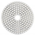 Flexible diamond polishing wheel (turtle) Ø100 P–0
